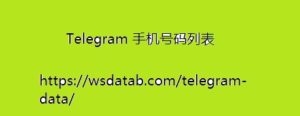 Telegram 手机号码列表