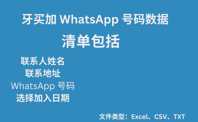 牙买加 WhatsApp 号码数据​